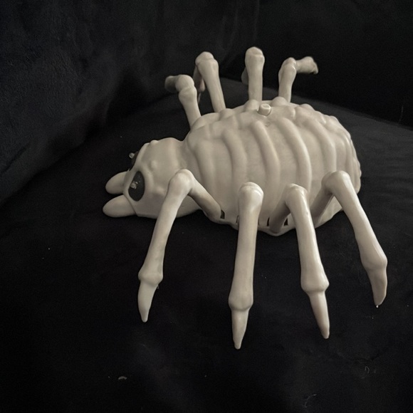 COPY - Animated Skele Spider - Picture 3 of 5